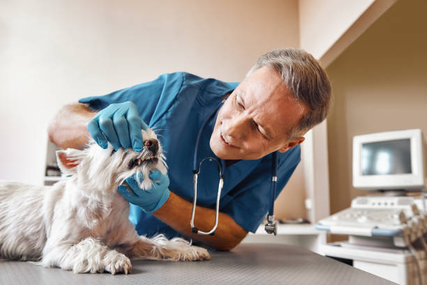 Best Emergency Tooth Extraction in South El Monte, CA
