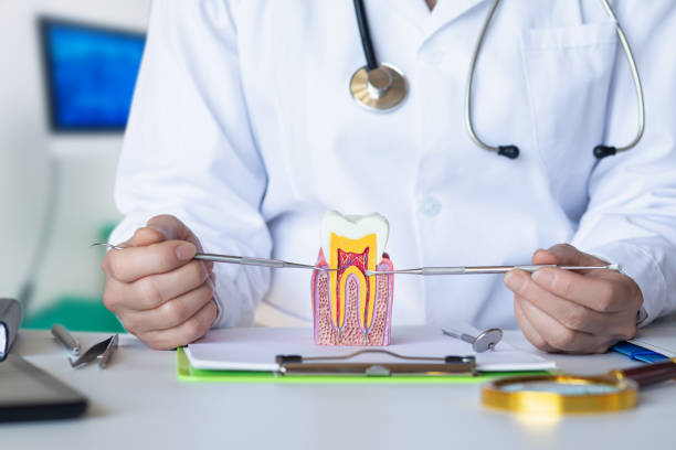 Best Urgent Care for Lost Fillings or Crowns in South El Monte, CA